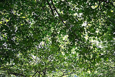 CSGO起源2上线饰品会跌么？csgo起源2会影响市场吗？