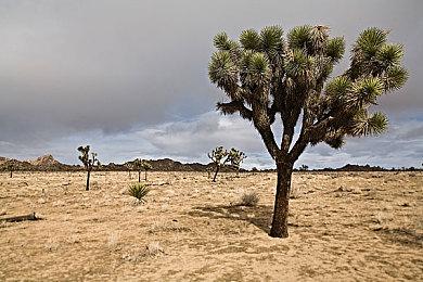 3D动作平台《太阳灰国》公布发售日宣传片 登陆Epic商店