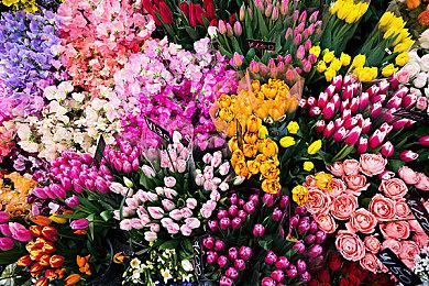 下周Epic免费游戏泄露 或将是《地下城与勇士：决斗》